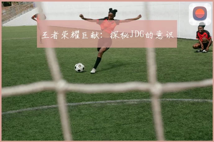 王者荣耀巨献：探秘JDG的意识