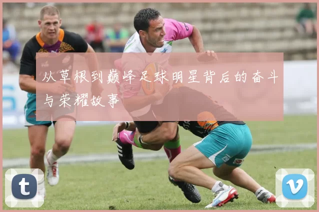 从草根到巅峰足球明星背后的奋斗与荣耀故事