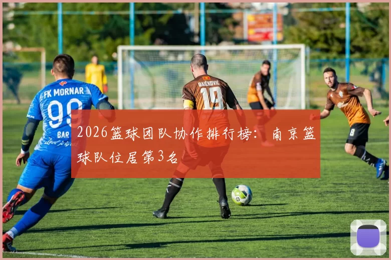 2026篮球团队协作排行榜：南京篮球队位居第3名