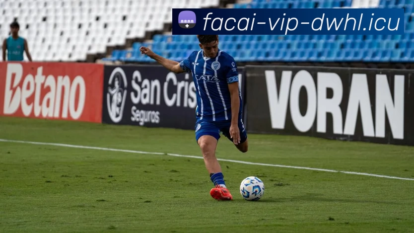 爱游戏体育平台生态图